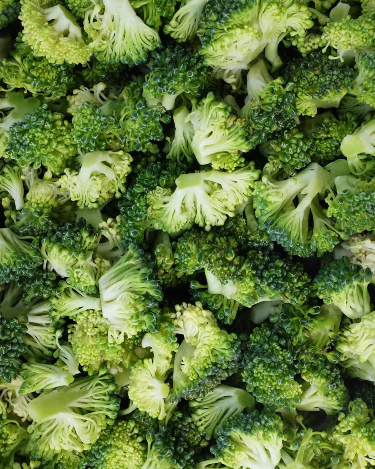 photo of a bunch of broccoli florets