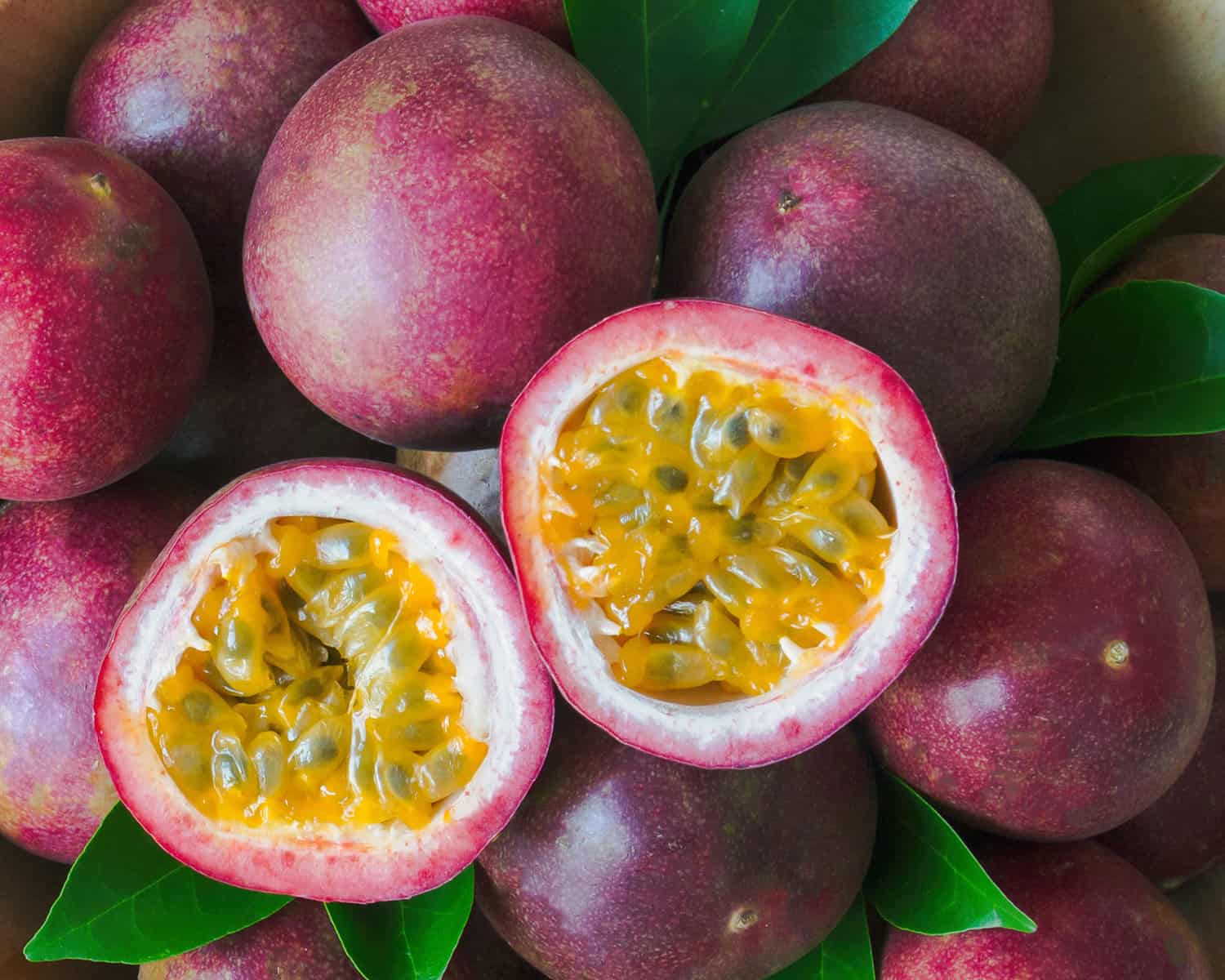 photo of a group of passionfruit, with one sliced open, revealing the inside of the fruit.