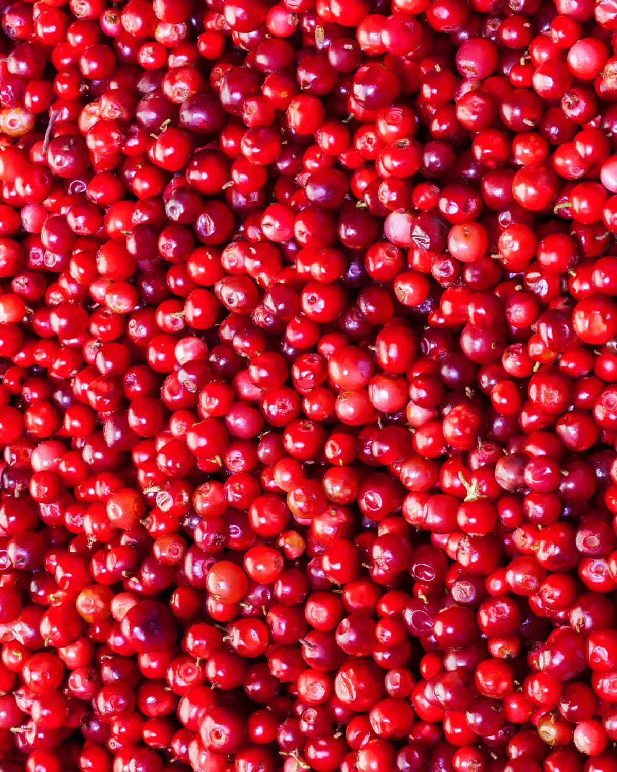 colorful cranberries fill a photo frame.