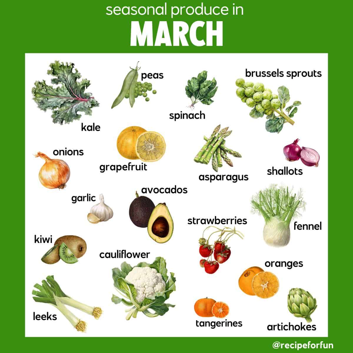 An illustrated infographic of what produce is in season in March.