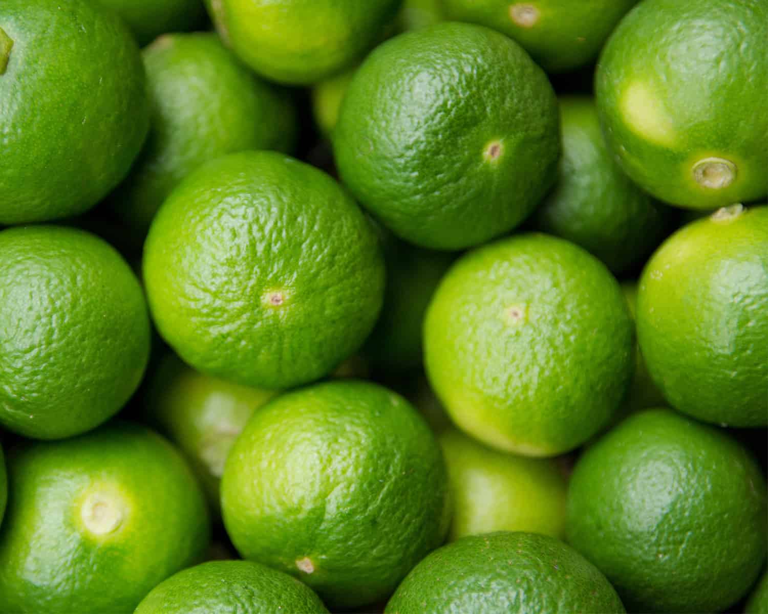 a photo of limes.