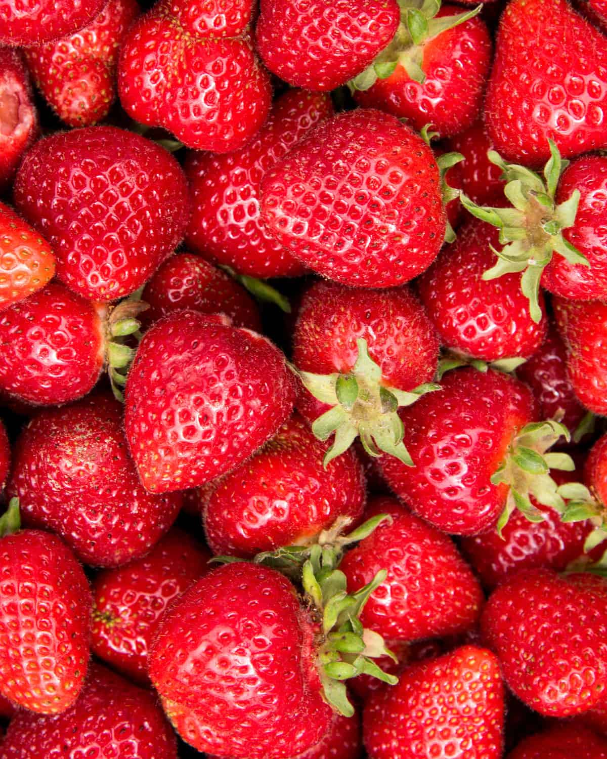 image of strawberries, in the peak season in March