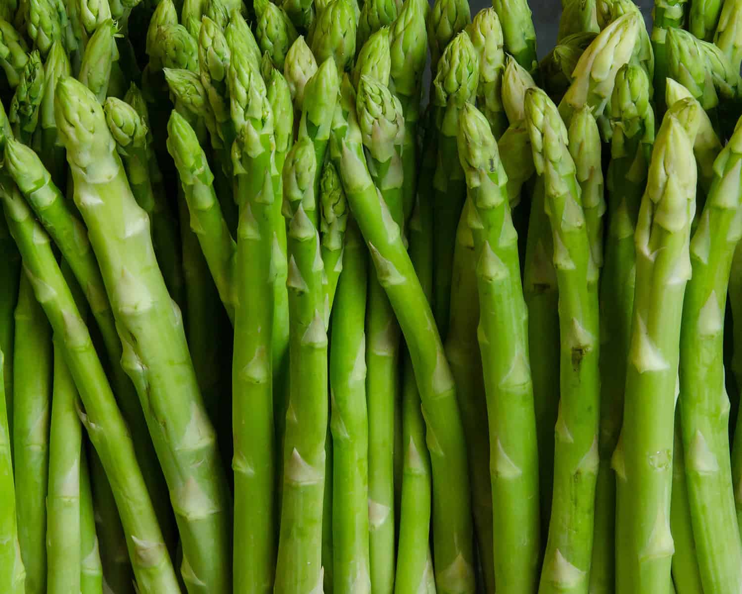 a bunch of asparagus stalks together in a photo.