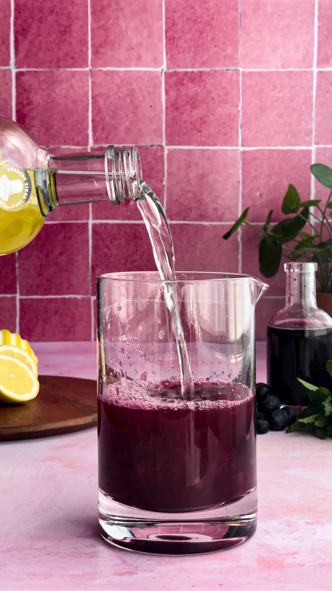 Sparkling Blueberry Vodka Lemonade - A Recipe For Fun