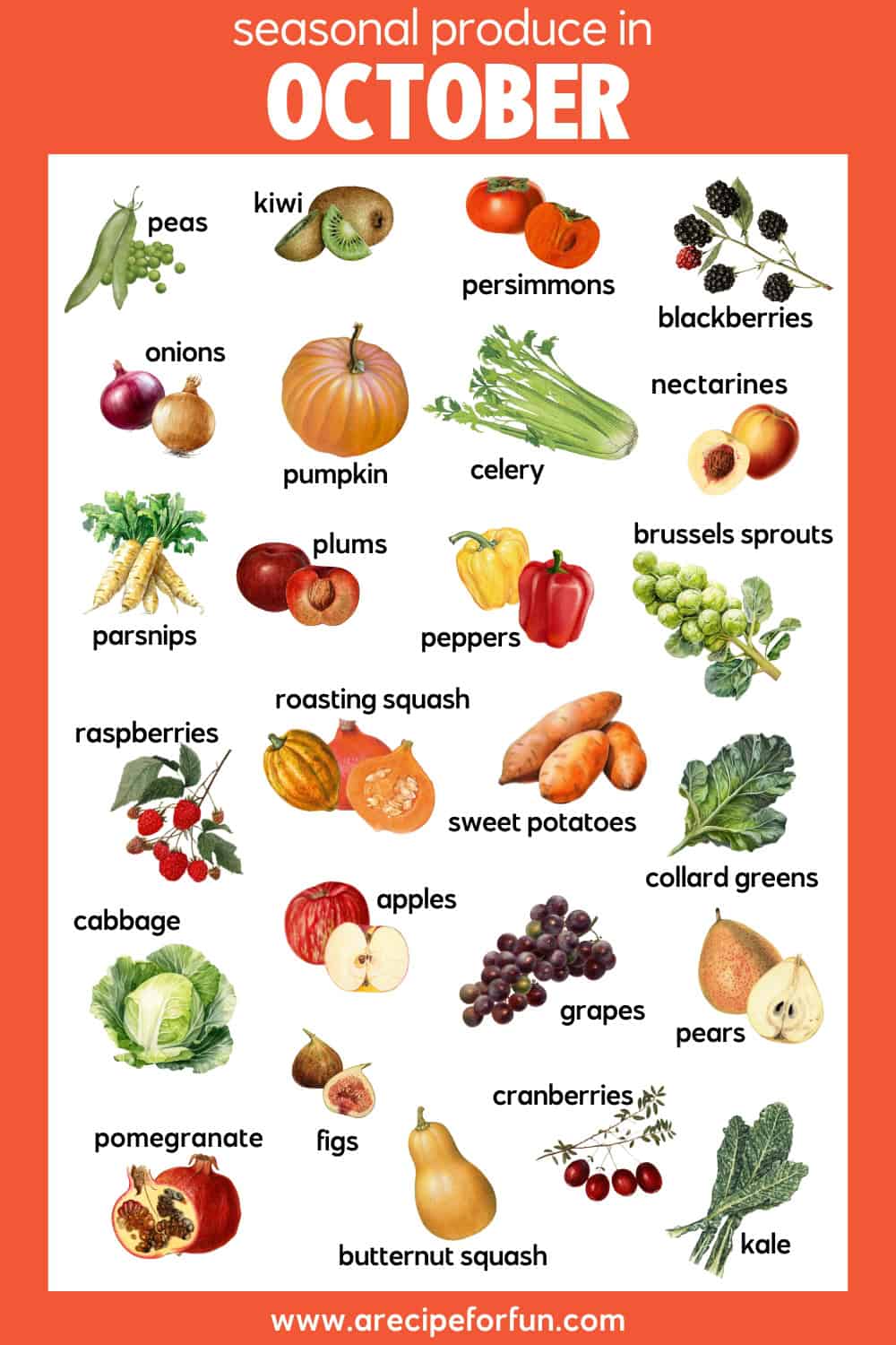 A chart titled What's in Season: October highlights what is in season in October, featuring illustrations of peppers, pumpkins, squash, apples, sweet potatoes, figs, cranberries, grapes, pears, kale, and more fresh fall produce.