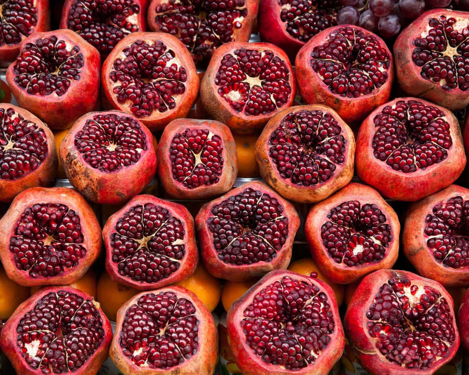pomegranates with their tops cut off, revealing the inner arils, fill the frame of a photo.
