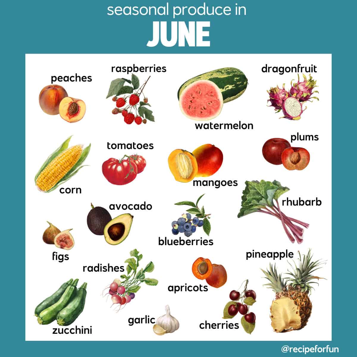 A chart titled what is in season in June features illustrations of peaches, raspberries, watermelon, dragonfruit, corn, tomatoes, mangoes, plums, rhubarb, figs, avocado, blueberries, pineapple, radishes, zucchini, garlic, apricots and cherries.