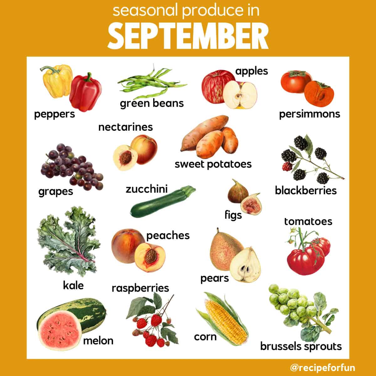 A colorful chart titled What's in Season: September highlights what is in season in September with illustrations of apples, persimmons, bell peppers, figs, peas, broccoli, sweet potatoes, peaches, tomatoes, and more.