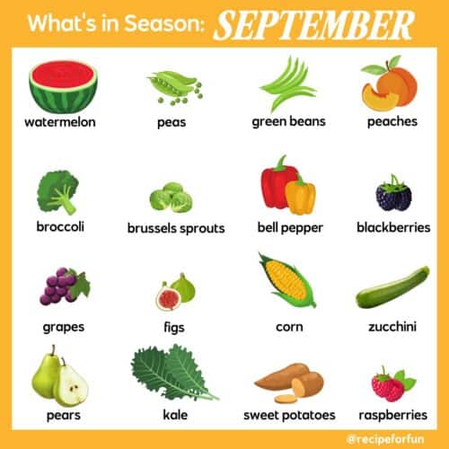 An illustrated infographic of what produce is in season in September.
