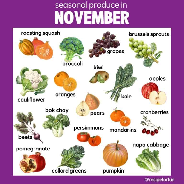 A chart titled what is in season in November displays illustrations of various fruits and vegetables, including squash, broccoli, kiwi, grapes, brussels sprouts, apples, pears, kale, cranberries, bok choy, and more.