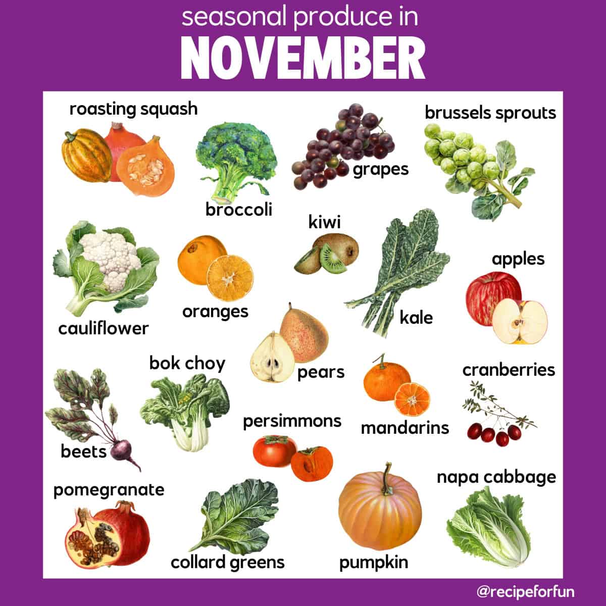 A chart titled what is in season in November displays illustrations of various fruits and vegetables, including squash, broccoli, kiwi, grapes, brussels sprouts, apples, pears, kale, cranberries, bok choy, and more.
