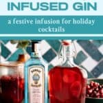 Pinterest Pin for a post about a recipe for a cranberry infused gin recipe.