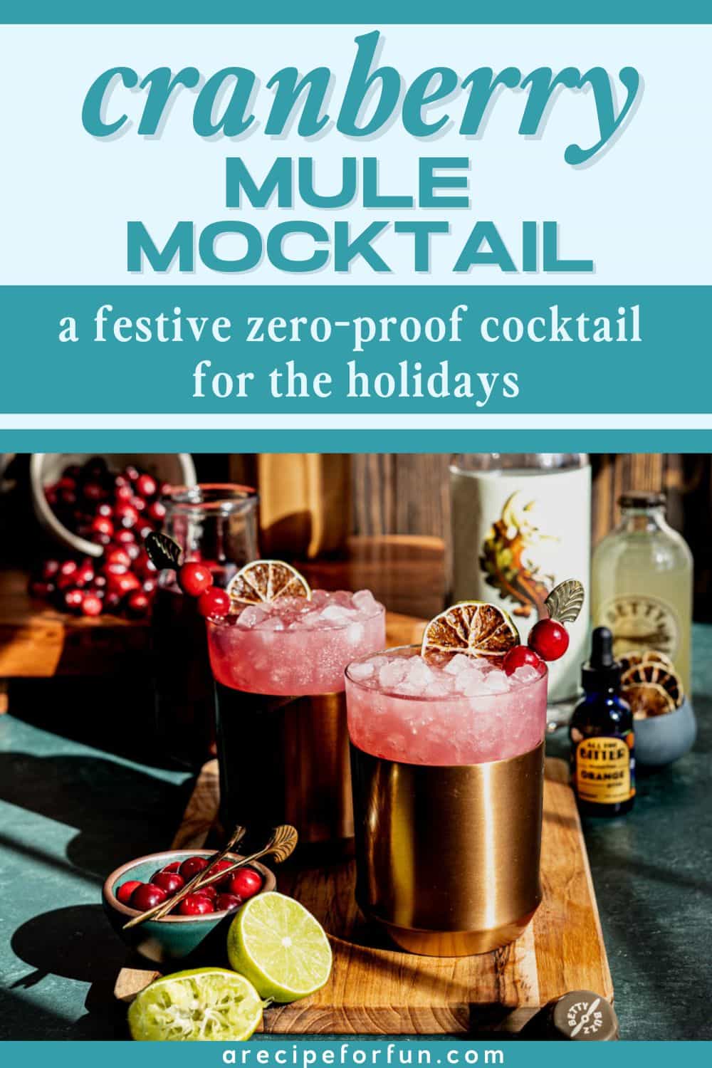 Pinterest Pin for a post about a recipe for a zero proof cranberry drink.