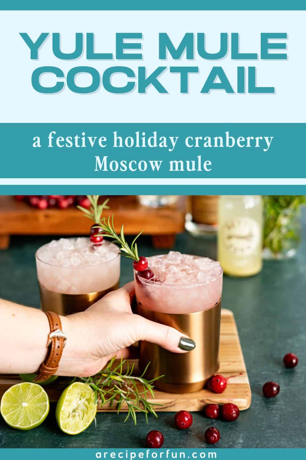 Pinterest Pin for a post about a recipe for a Yule Mule cocktail.