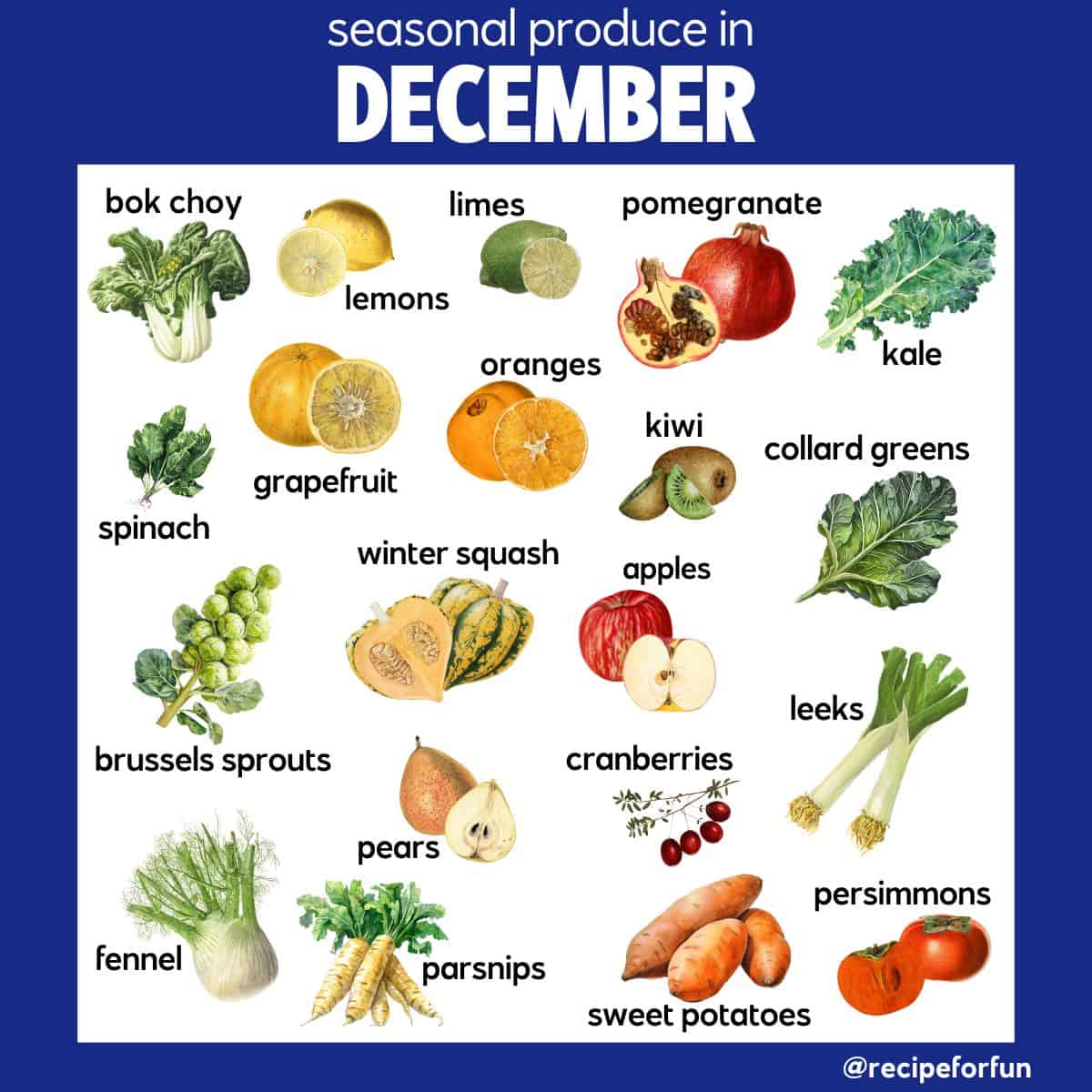 Illustrated chart of what is in season in December, featuring bok choy, lemons, limes, pomegranate, kale, spinach, grapefruit, oranges, kiwi, winter squash, apples, leeks, cranberries, pears, persimmons, and more.