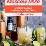 A pinterest pin for a recipe for a Moscow Mule Mocktail.
