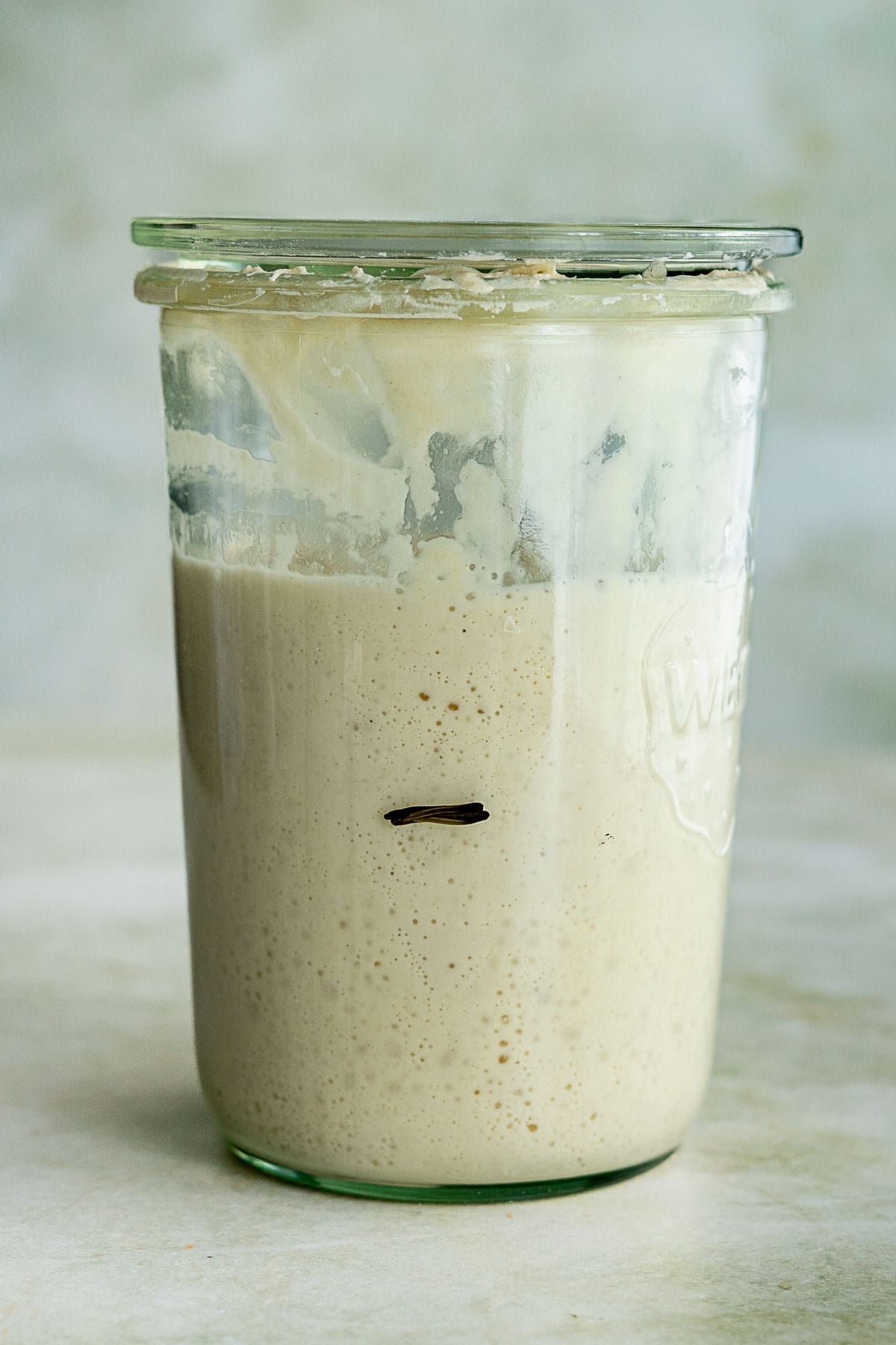 A glass jar filled with bubbly Italian sourdough bread starter sits on a light surface. The starter has risen above a dark line marked on the jar, indicating its previous level. The background is softly blurred.