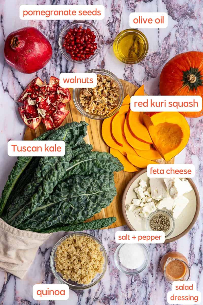 A marble countertop displays ingredients for a kale and pomegranate salad: pomegranate seeds, olive oil, walnuts, sliced red kuri squash, feta cheese, salt and pepper, Tuscan kale, cooked quinoa, and salad dressing, all labeled.