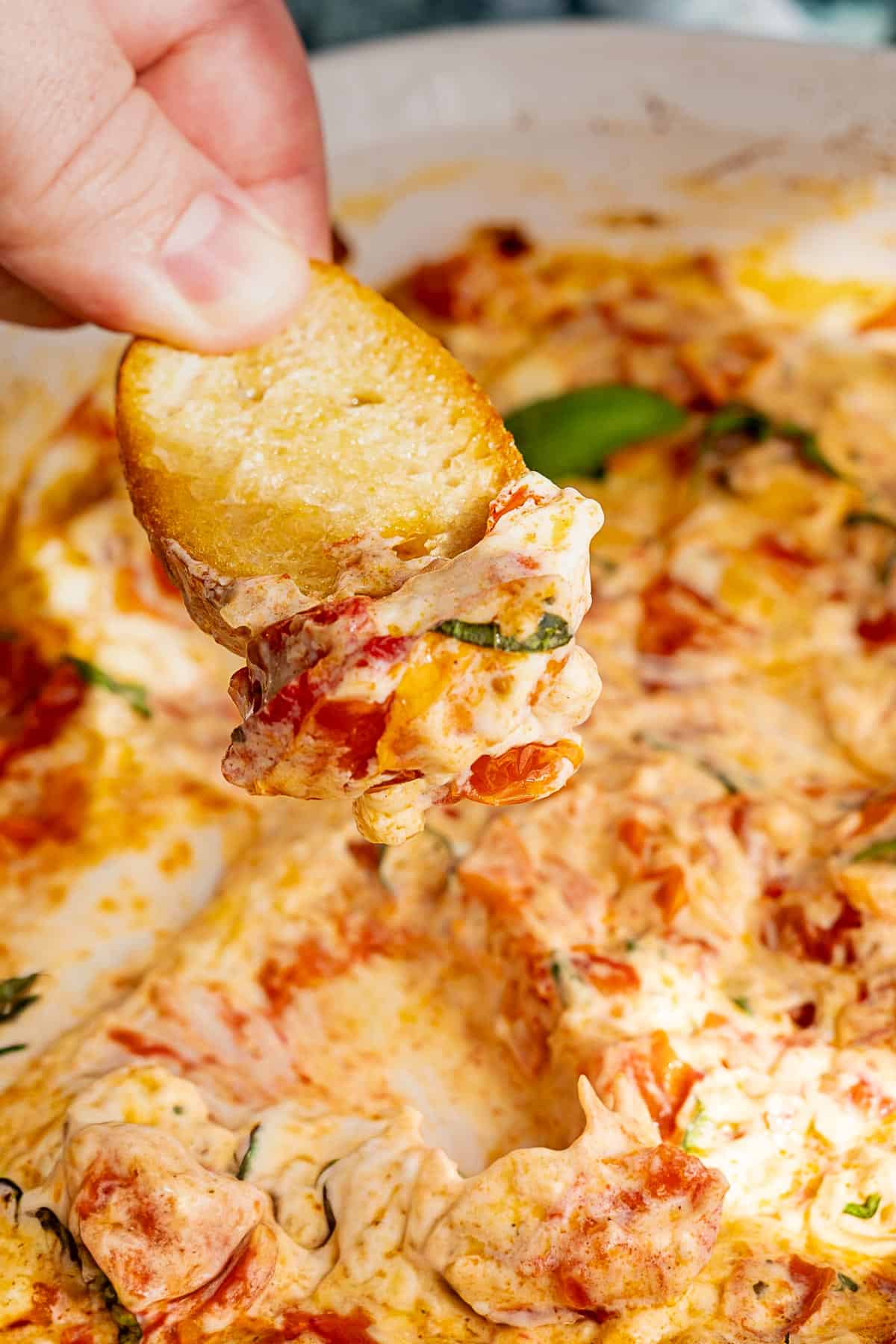 A hand holds a slice of toasted bread dipped in a creamy, tomato-based boursin dip with herbs, showing a gooey, rich texture. The baked dip has a golden, slightly browned surface for an irresistible finish.