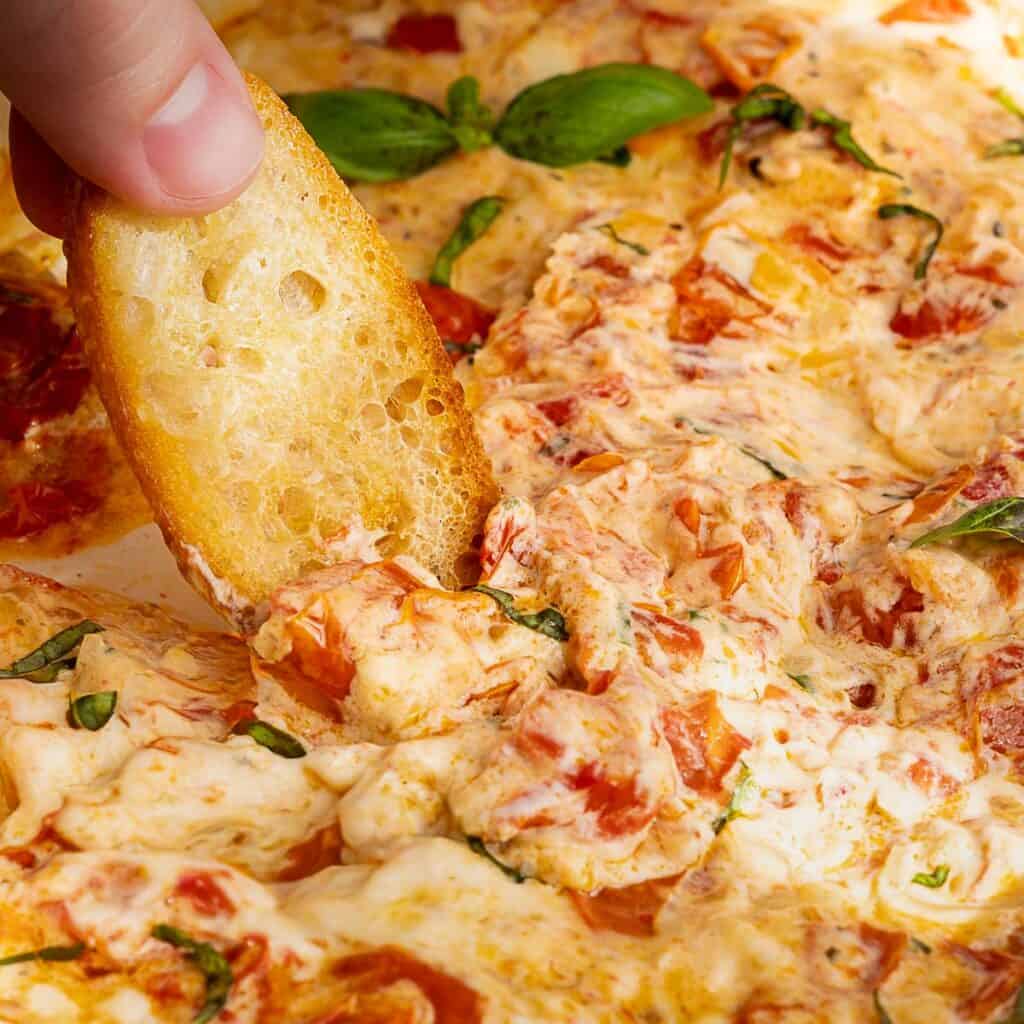 A hand dips a slice of toasted bread into a cheesy, tomato-based Boursin dip garnished with fresh basil leaves. The dip appears creamy with chunks of tomato and herbs.