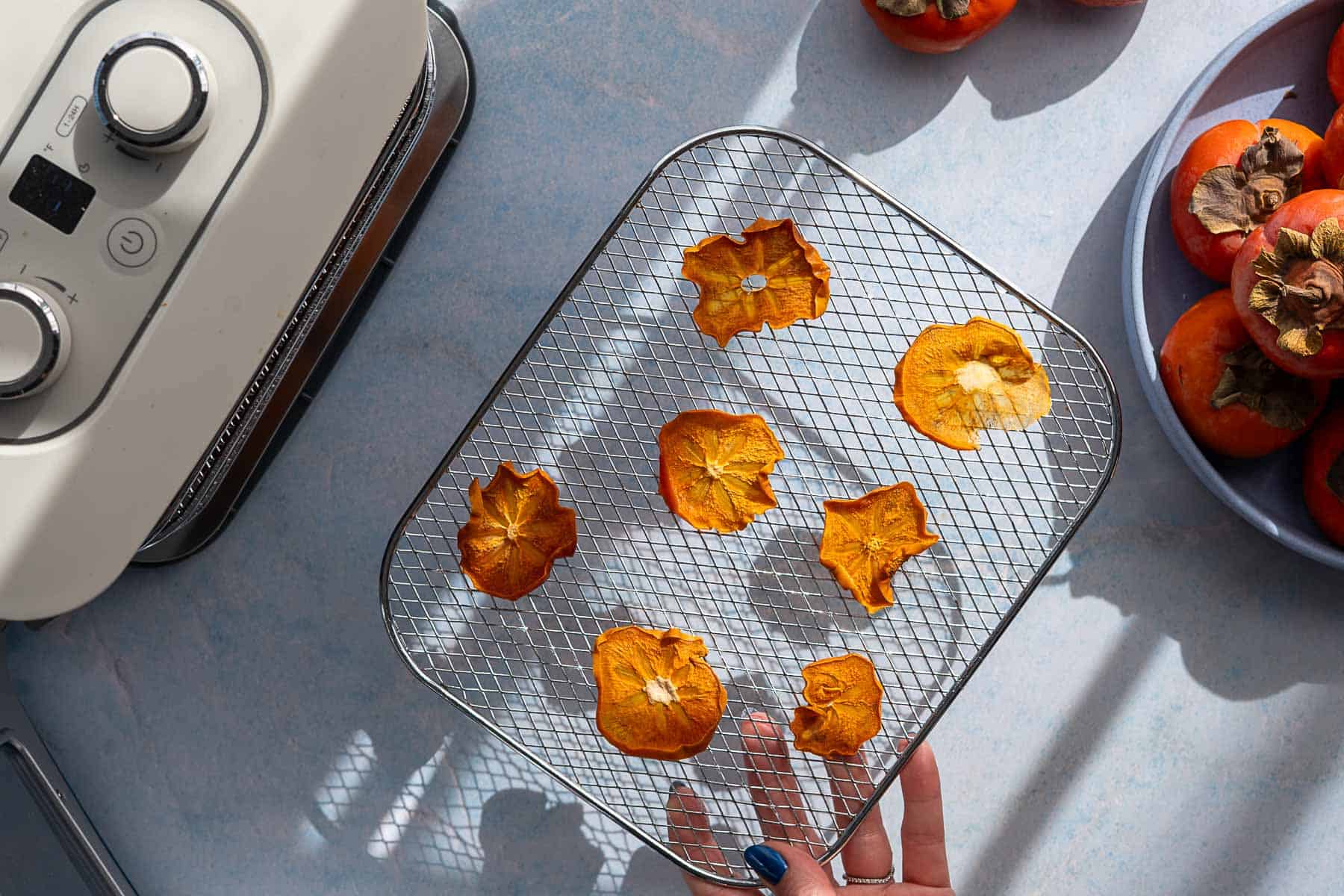 A hand holds a metal mesh tray with six dehydrated persimmons above an air fryer, with fresh persimmons on a plate and scattered across the countertop nearby. These persimmons were sliced thicker and dehydrated at a higher temperature for a faster period of time.