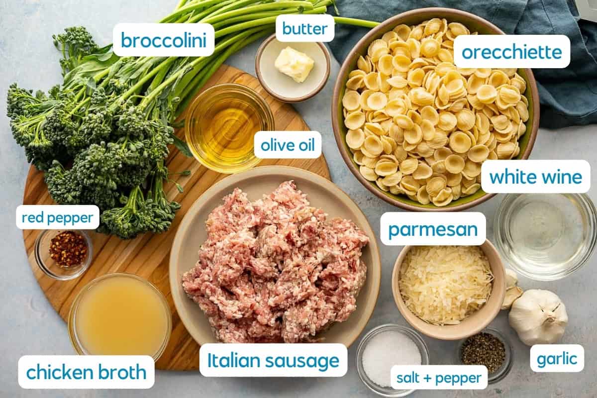 Ingredients for a broccolini pasta dish arranged on a table: orecchiette, grated parmesan, Italian sausage, chicken broth, white wine, olive oil, butter, garlic, red pepper flakes, plus salt and pepper.