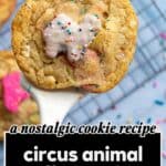 A cookie with a frosted circus animal cookie and rainbow sprinkles is held above a cooling rack with more cookies below. Text reads: a nostalgic cookie recipe, circus animal stuffed cookies, arecipeforfun.com.
